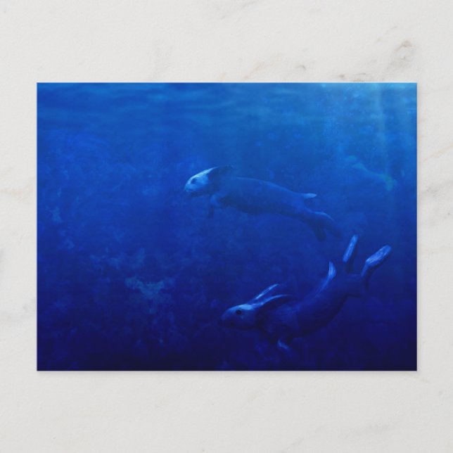Sea Rabbits Dance Beneath the Waves Postcard (Front)