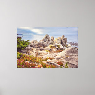 Sea Rocks Canvas Print