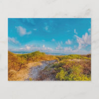 Sea Scape