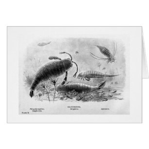 Sea-scorpions art card