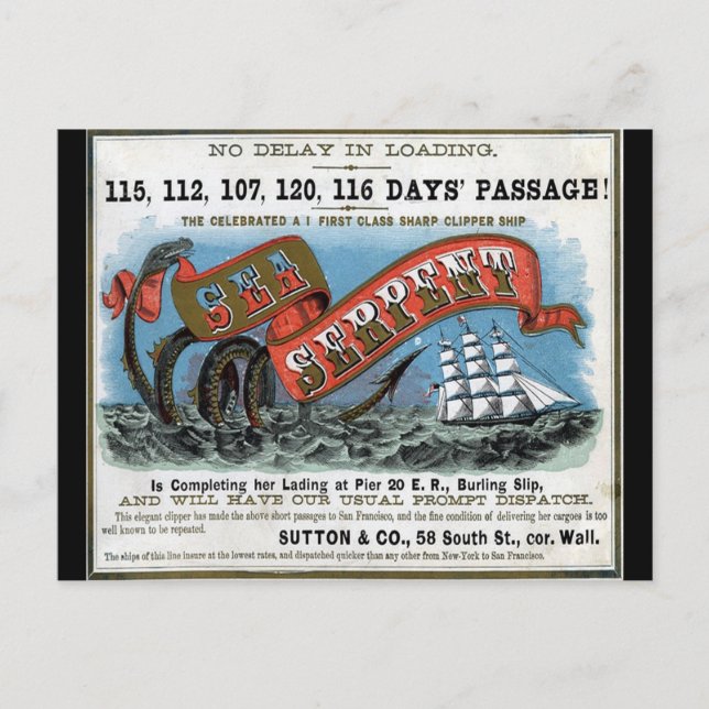 Sea Serpent Clipper Sailing  Postcard (Front)