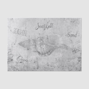 Sea Shell Black And White Vintage Texture Script Tissue Paper