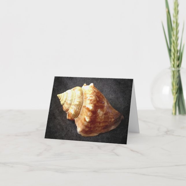 Sea Shell Blank Card (Front)
