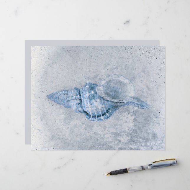 Sea Shell Blue Vintage Antique Ocean Beach Texture (Front/Back In Situ)