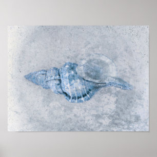 Sea Shell Blue Vintage Antique Ocean Beach Texture Poster