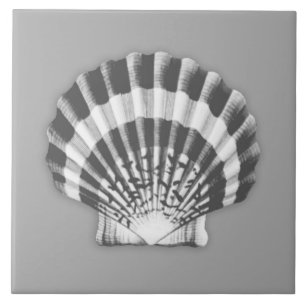 Sea Shell - charcoal grey and white Tile