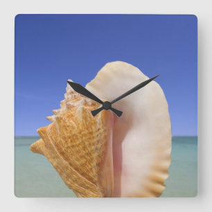 Sea Shell Close Up Square Wall Clock
