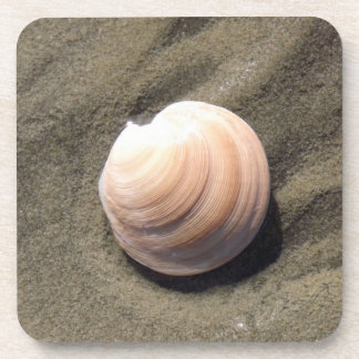 Sea Shell Coaster