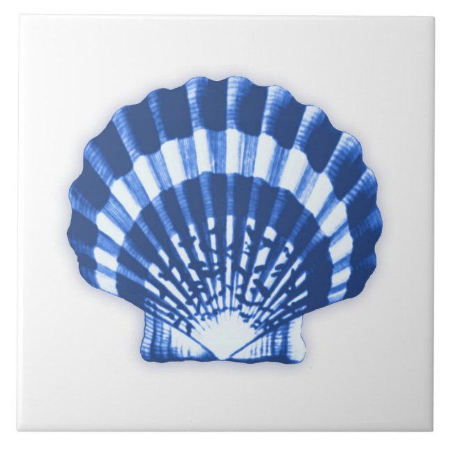 Sea Shell - cobalt blue and white Tile (Front)