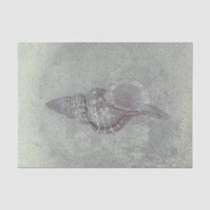 Sea Shell Grey Vintage Ocean Beach Texture Tissue Paper