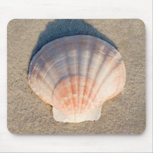 Sea Shell Laying On Sandy Beach Mouse Pad