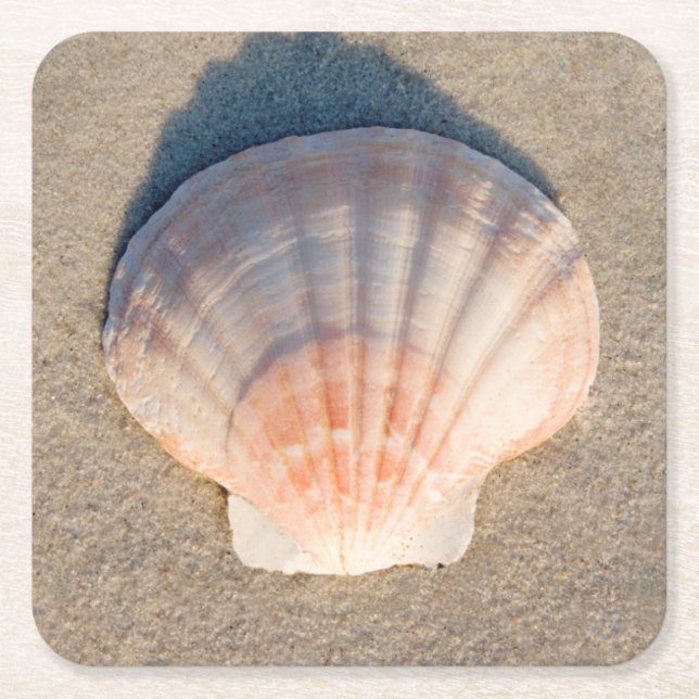 Sea Shell Laying On Sandy Beach Square Paper Coaster (Front)