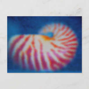 Sea Shell Postcard