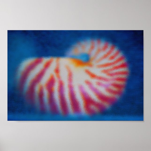 Sea Shell Poster (Front)