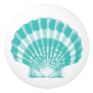 Sea Shell - soft aqua and white Ceramic Knob