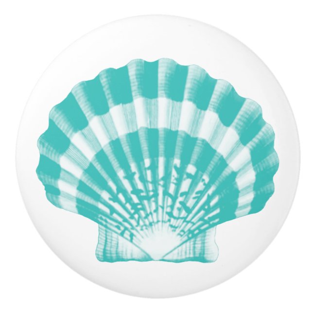 Sea Shell - soft aqua and white Ceramic Knob (Front)