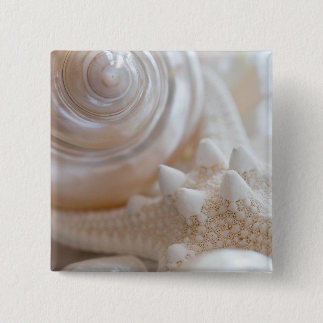 Sea Shell & Starfish Background - Beach Shells 15 Cm Square Badge (Front)