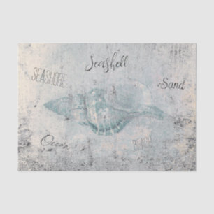 Sea Shell Teal Beige Vintage Texture Beach Script Tissue Paper