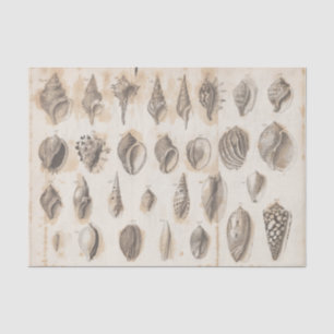 Sea Shell Vintage Parchment Decoupage Beach Ocean  Tissue Paper