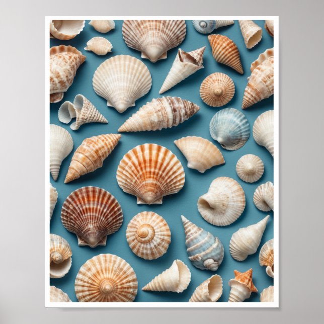 Sea Shell Wall Art Home Decor Room Poster (Front)
