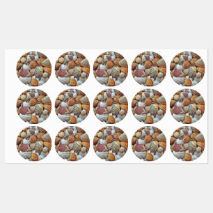 Sea Shells