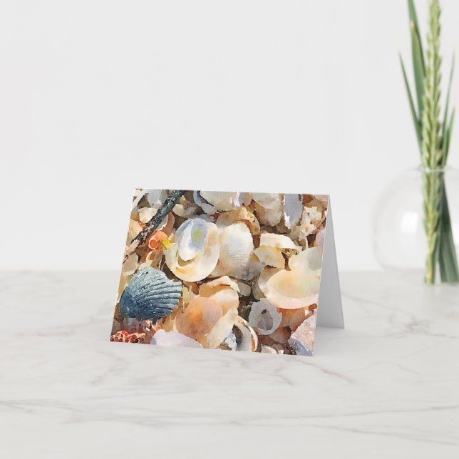 Sea shells and Driftwood on Beach Sand Card (Front)