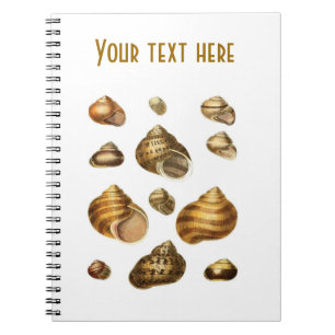 Sea shells and maritime theme, brown ocean shell spiral notebook