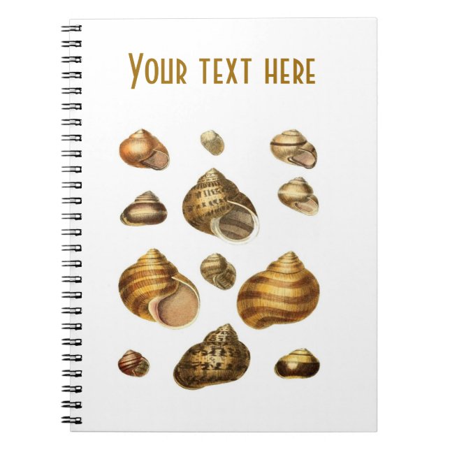 Sea shells and maritime theme, brown ocean shell spiral notebook (Front)