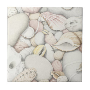 Sea Shells and Pebbles in Colored Pencil Tile