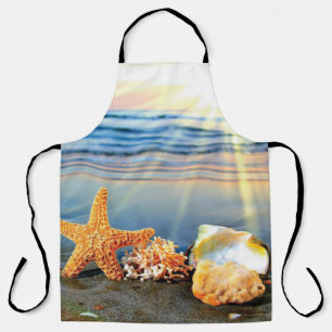Sea shells and starfish on beach apron