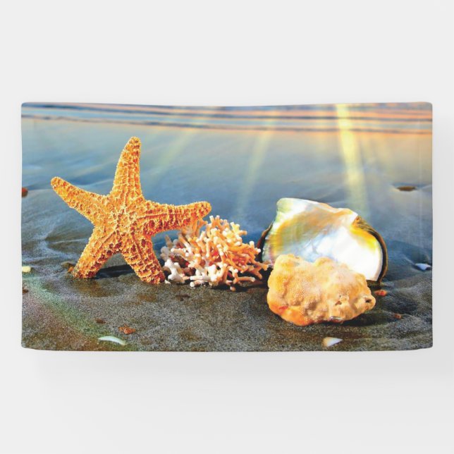 Sea shells and starfish on beach banner (Horizontal)
