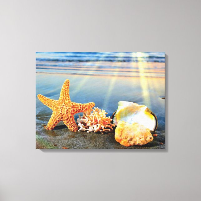 Sea shells and starfish on beach canvas print (Front)