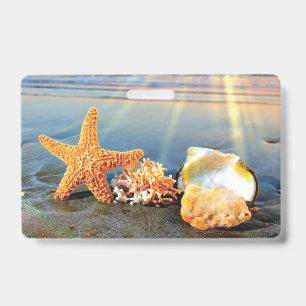 Sea shells and starfish on beach ID badge