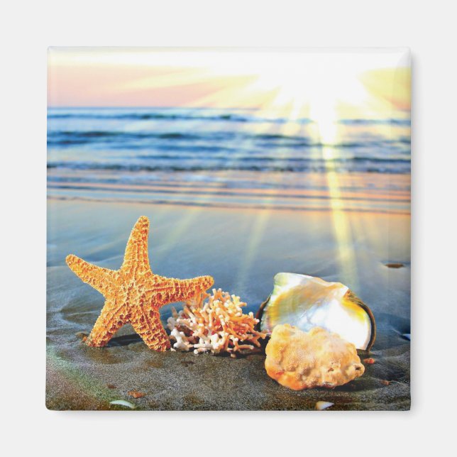 Sea shells and starfish on beach magnet (Front)