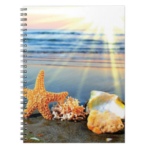 Sea shells and starfish on beach notebook