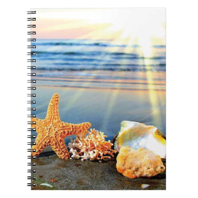 Sea shells and starfish on beach notebook (Front)