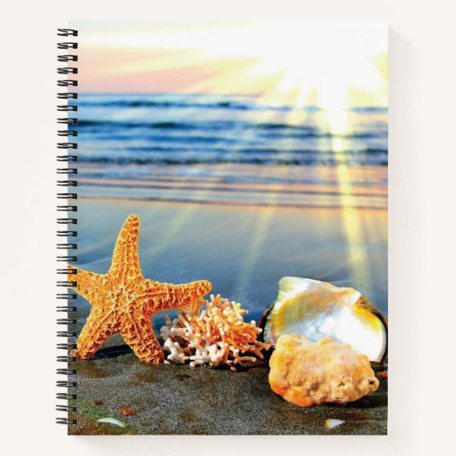 Sea shells and starfish on beach notebook (Front)