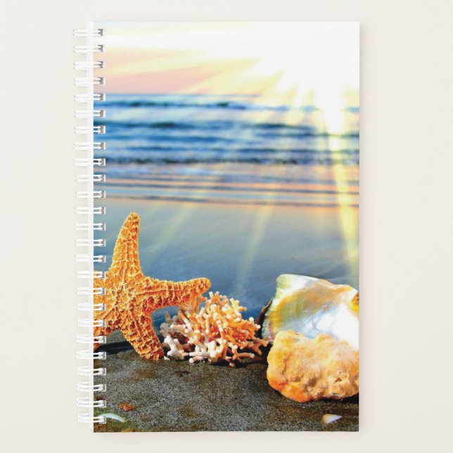 Sea shells and starfish on beach planner (Front)