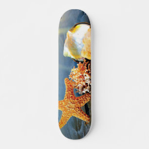 Sea shells and starfish on beach skateboard