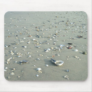 Sea Shells at Imperial Beach, California Mouse Pad