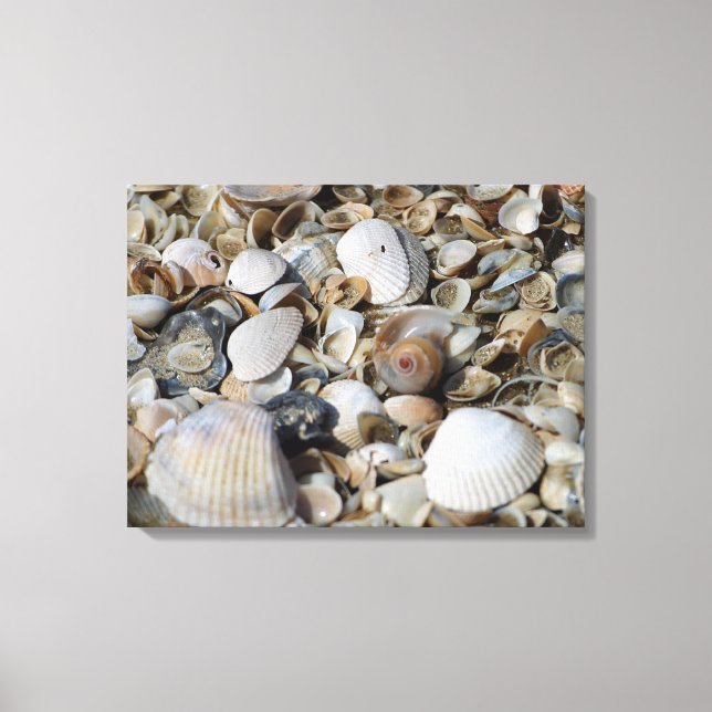 Sea Shells Beach Scene Macro Photo Wall Art (Front)
