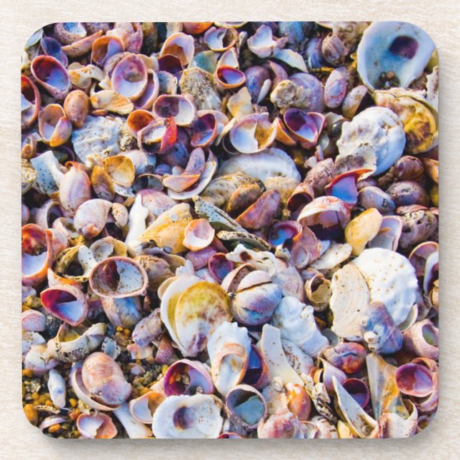 Sea Shells By The Sea Shore Coaster (Front)