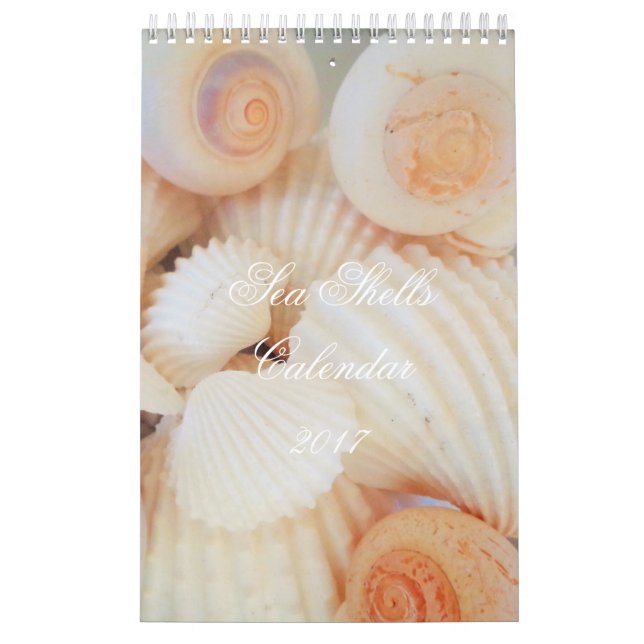 Sea Shells Calendar 2017 Exotic Tropical Romantic (Cover)