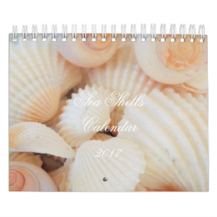 Sea Shells Calendar 2017 Exotic Tropical Romantic