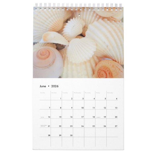 Sea Shells Calendar 2024 Exotic Tropical Romantic (Jun 2026)
