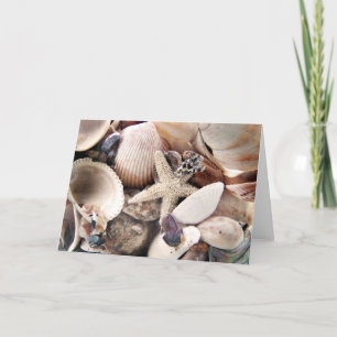 Sea Shells Card