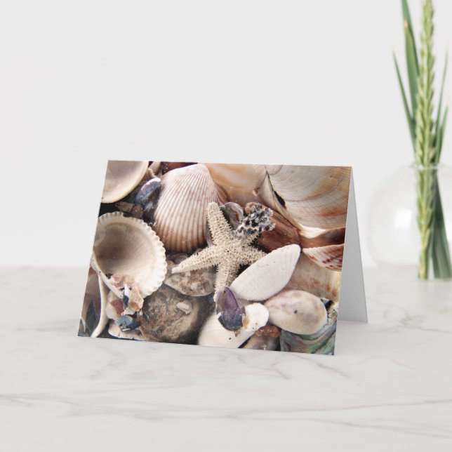 Sea Shells Card (Front)