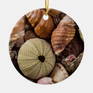 Sea Shells Ceramic Tree Decoration