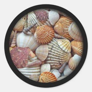 Sea Shells Classic Round Sticker