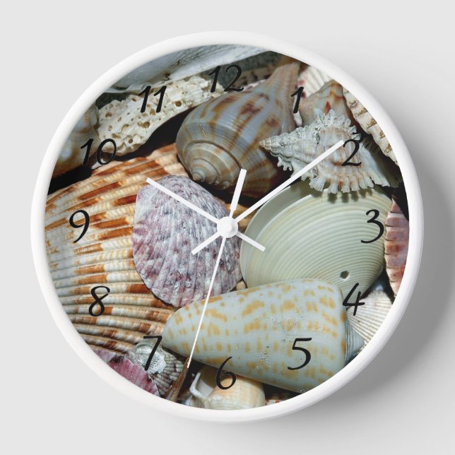 Sea Shells Clock (Front)